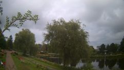 Rosarium Webcam