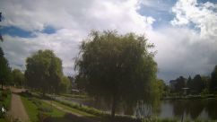 Rosarium Webcam