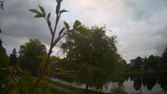 Rosarium Webcam