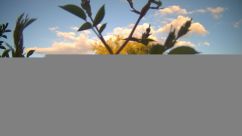 Rosarium Webcam