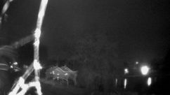Rosarium Webcam
