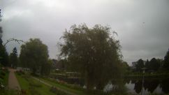 Rosarium Webcam