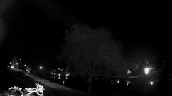 Rosarium Webcam
