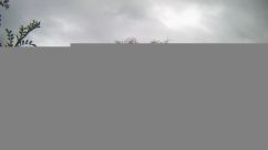 Rosarium Webcam