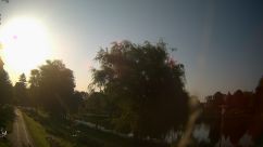 Rosarium Webcam