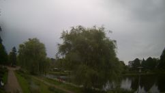 Rosarium Webcam