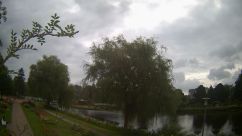 Rosarium Webcam