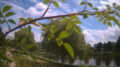 Rosarium Webcam