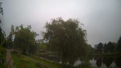 Rosarium Webcam