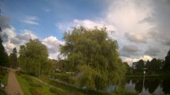 Rosarium Webcam