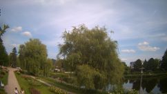 Rosarium Webcam