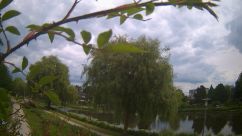 Rosarium Webcam