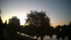 Rosarium Webcam