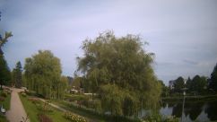 Rosarium Webcam