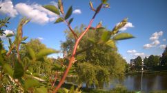 Rosarium Webcam