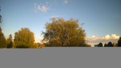 Rosarium Webcam
