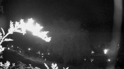 Rosarium Webcam