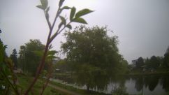 Rosarium Webcam