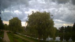 Rosarium Webcam