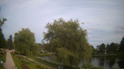 Rosarium Webcam