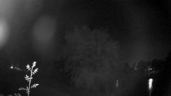 Rosarium Webcam