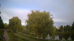 Rosarium Webcam