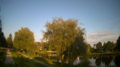 Rosarium Webcam