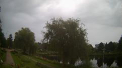 Rosarium Webcam