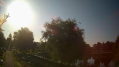 Rosarium Webcam