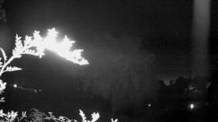 Rosarium Webcam