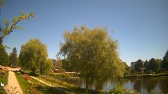 Rosarium Webcam