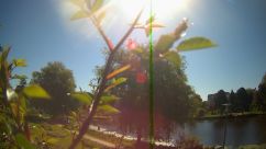 Rosarium Webcam
