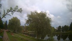 Rosarium Webcam