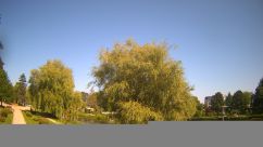 Rosarium Webcam