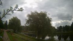 Rosarium Webcam