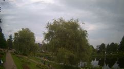 Rosarium Webcam