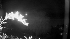 Rosarium Webcam