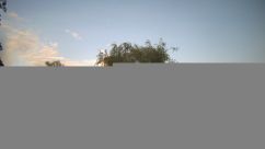 Rosarium Webcam