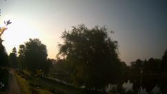 Rosarium Webcam