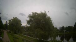 Rosarium Webcam