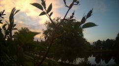 Rosarium Webcam