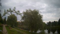 Rosarium Webcam