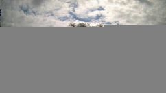 Rosarium Webcam