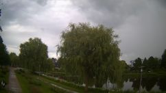 Rosarium Webcam