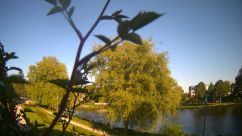 Rosarium Webcam
