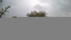 Rosarium Webcam