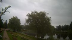 Rosarium Webcam