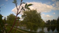 Rosarium Webcam