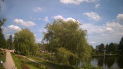Rosarium Webcam