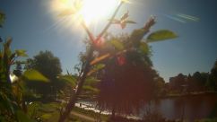 Rosarium Webcam